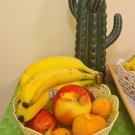 Viky's Frühstückspension 4*